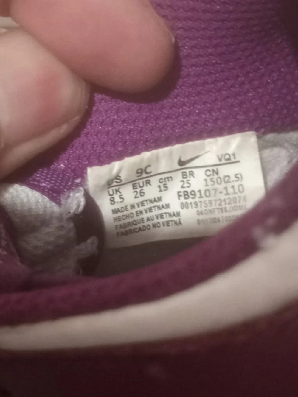 Nike Dunk Low Viotech Purple Sneakers Kids Toddler Size 9C (FB9107-110) - Picture 2 of 12